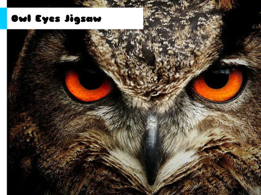 Play Owl Eyes Jigsaw Game